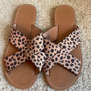 Loft outlet flip flop sandals, great conditions, size 6, animal print